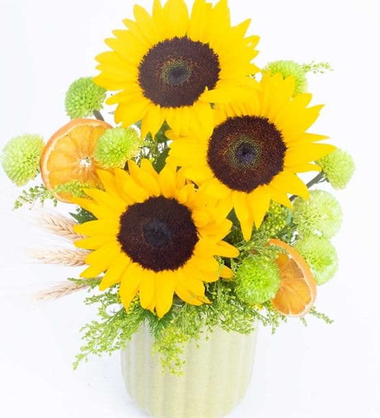 3 Ayçiçek Sabah Güneşi Çiçekleri - hover