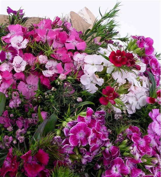 Aida Serisi Rengarenk Mevsim Çiçekleri Buketi - 3