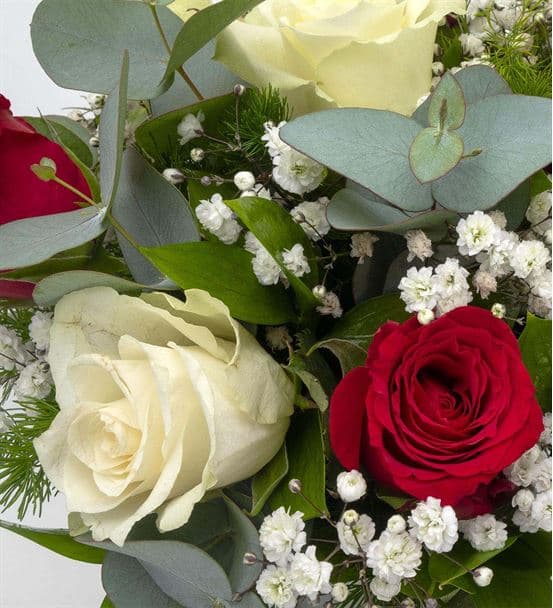 Akvaryum Kürede 4 Kırmızı 5 Beyaz Gül Aranjmanı - 3