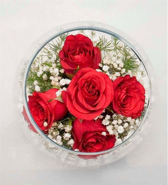 Akvaryum Vazoda Beyaz Çakıl Taşlı 5 Kırmızı Güller - hover