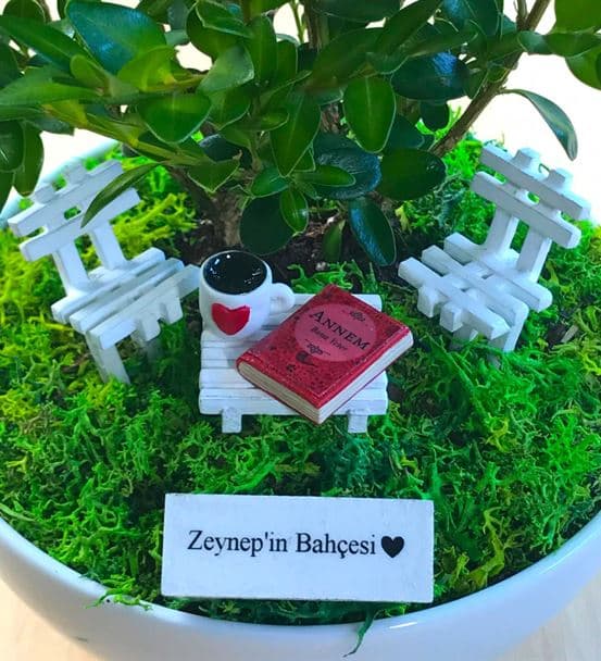 Anneye Hediye Bonsai - Cute Kolaksiyonu - hover