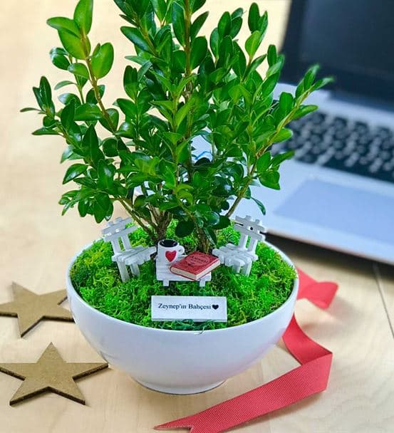 Anneye Hediye Bonsai - Cute Kolaksiyonu