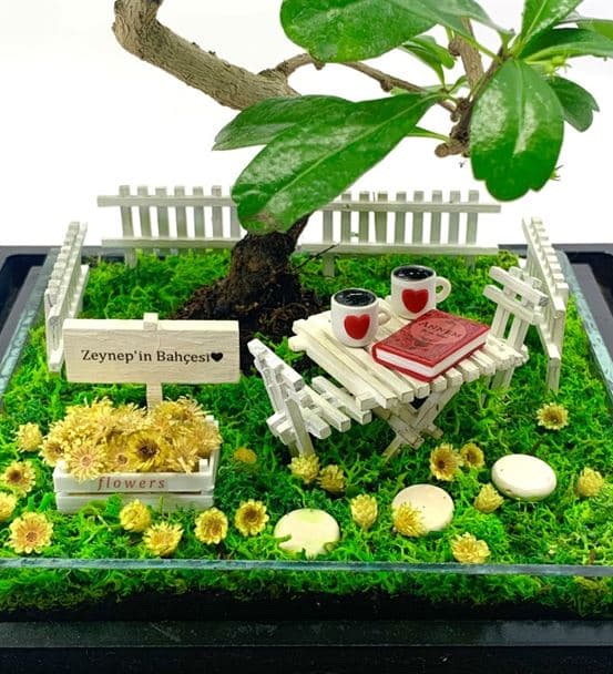 Anneye Hediye Teraryum - Bonsai Koleksiyonu - 3