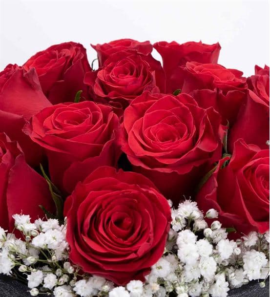 Aşkın Adı Siyah Kutuda 13 Kırmızı Güller - 3