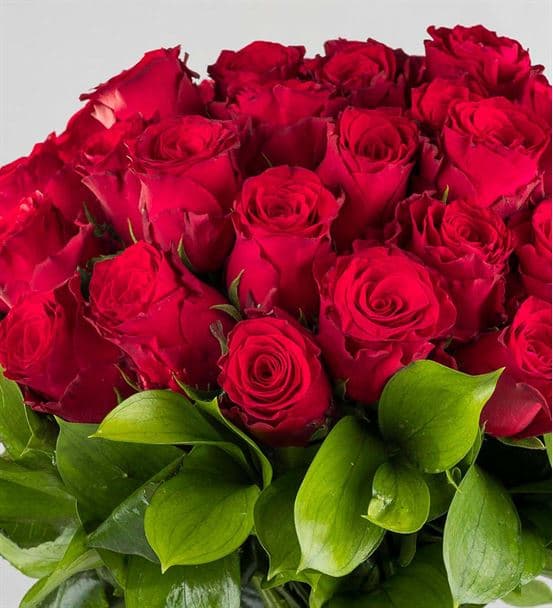 Ateş Böceği Premium 50 Kırmızı Gül Buketi - 3