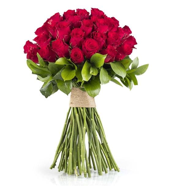 Ateş Böceği Premium 50 Kırmızı Gül Buketi