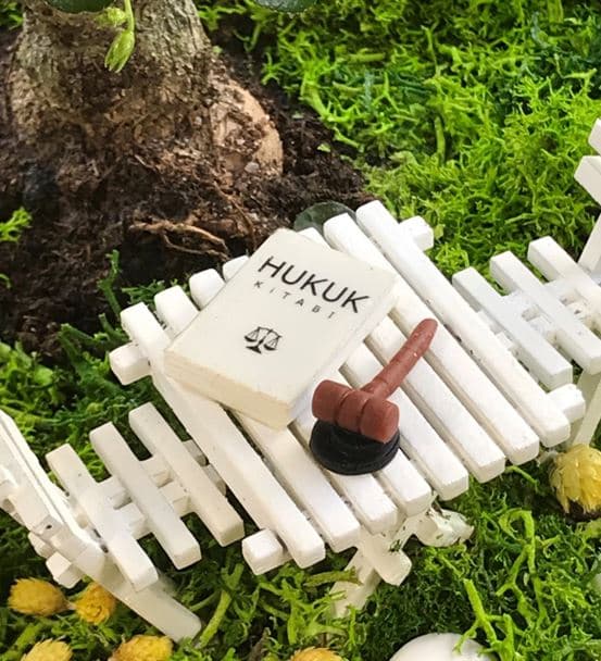 Avukata Hediye Teraryum - Bonsai Koleksiyonu - hover