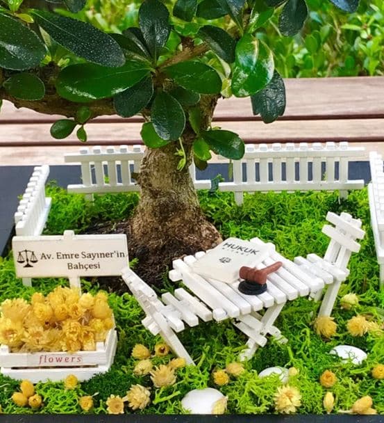 Avukata Hediye Teraryum - Bonsai Koleksiyonu - 3