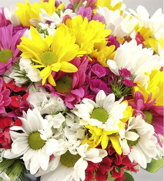 Baharın Habercisi Mevsim Çiçekleri - hover