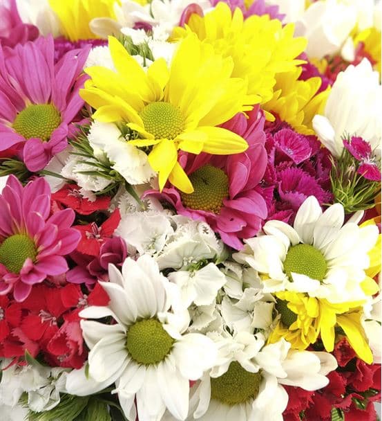 Baharın Habercisi Mevsim Çiçekleri - 3