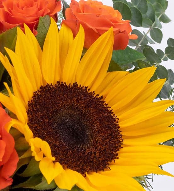 Be Sunshine Ay Çiçeği Turuncu Çardak Gül Aranjmanı - 3