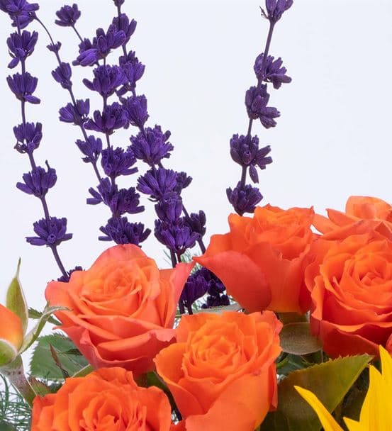 Be Sunshine Ay Çiçeği Turuncu Çardak Gül Aranjmanı - 4