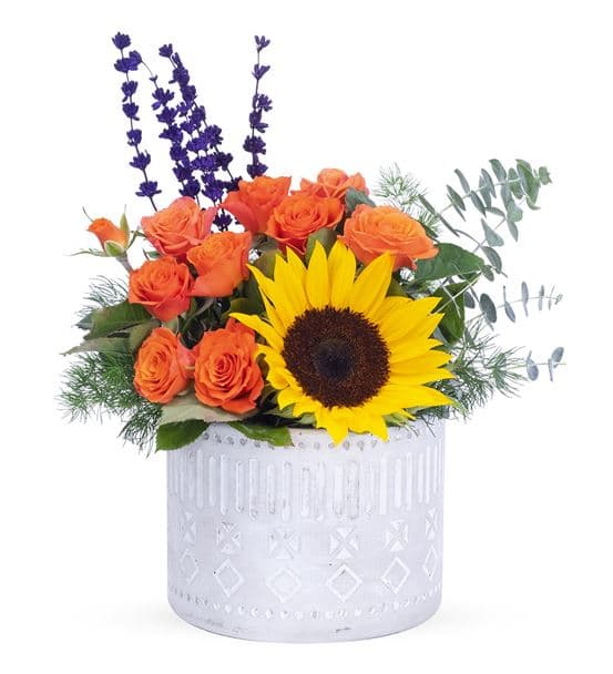 Be Sunshine Ay Çiçeği Turuncu Çardak Gül Aranjmanı