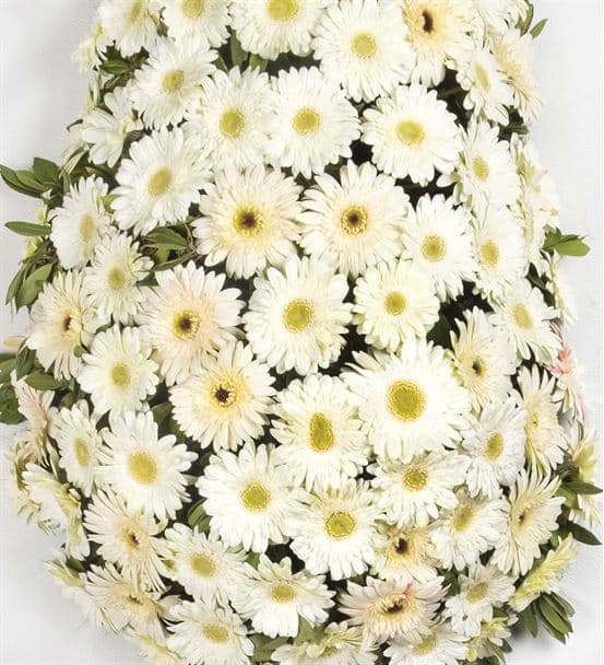 Beyaz Düşler Gerbera Açılış Kutlama Çelengi - hover