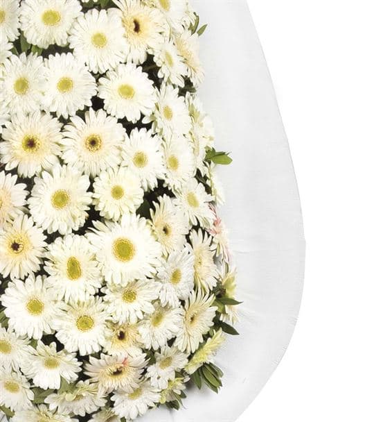 Beyaz Düşler Gerbera Açılış Kutlama Çelengi - 3