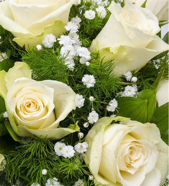 Beyaz Gölge Fanusta 11 Beyaz Gül Aranjmanı - 3