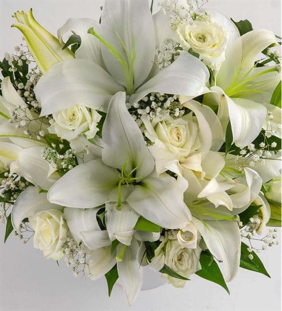 Beyaz Güzellik Kokulu Çiçek Aranjmanı - hover