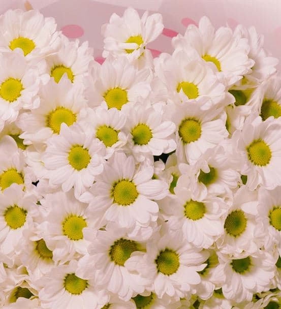 Butik Tasarım Beyaz Papatya Buketi - 3