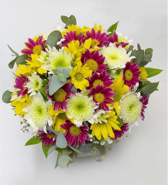 Cam Fanus Gökkuşağı Papatya Bahçesi - hover