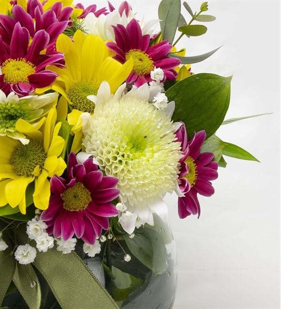 Cam Fanus Gökkuşağı Papatya Bahçesi - 4