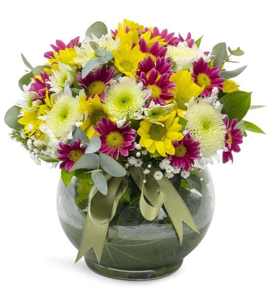 Cam Fanus Gökkuşağı Papatya Bahçesi