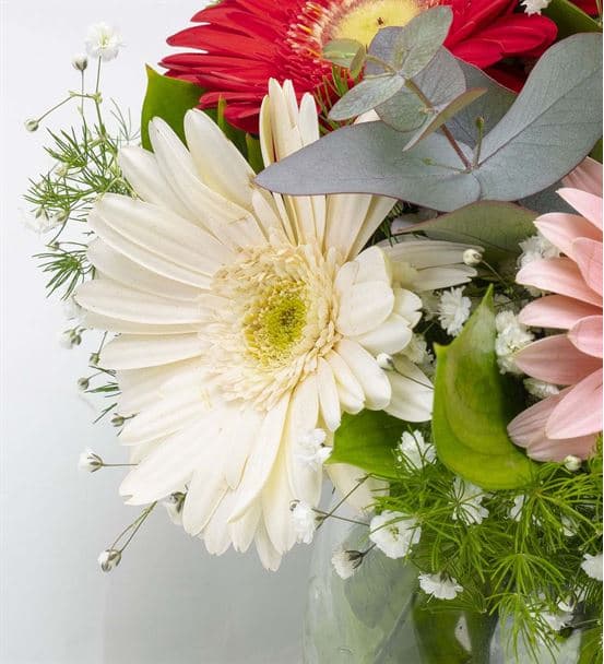 Cam Fanus Rengarenk Gerbera Aranjmanı - 3