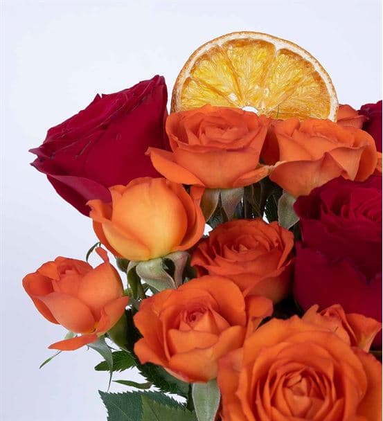 Carignan Serisi Lovely Turuncu Kırmızı Güller - 3