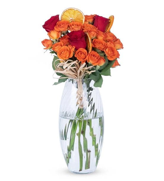 Carignan Serisi Lovely Turuncu Kırmızı Güller