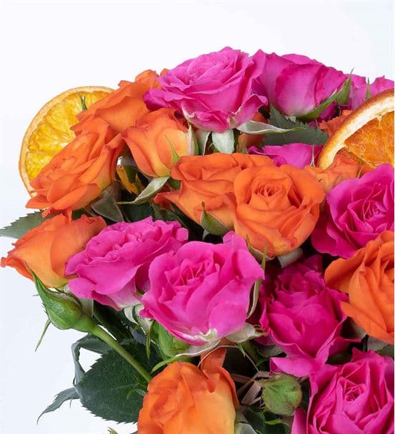 Carignan Serisi Mixed Turuncu Pembe Çardak Güller - 3