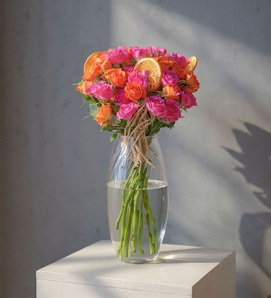 Carignan Serisi Mixed Turuncu Pembe Çardak Güller - 4