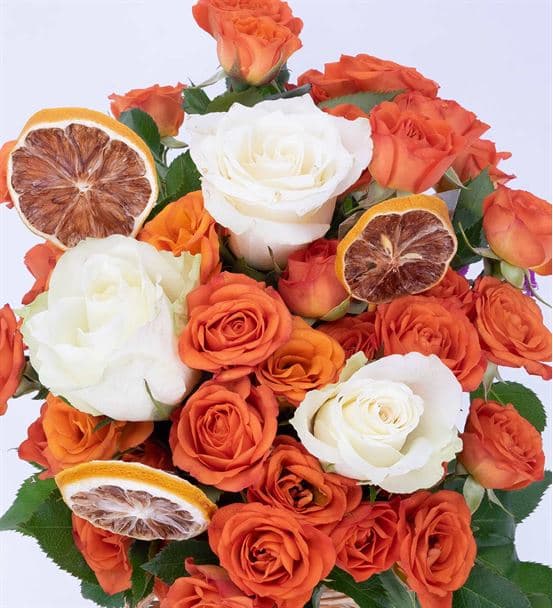 Carignan Serisi Renk Güzeli Turuncu Beyaz Güller - hover