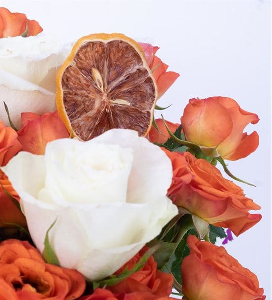 Carignan Serisi Renk Güzeli Turuncu Beyaz Güller - 4