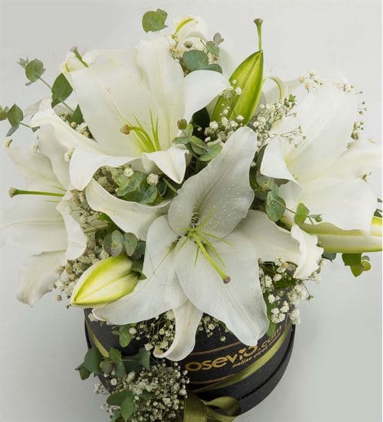 Carracci Kutu Dolusu Kokulu Beyaz Lilyumlar - hover