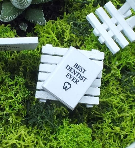 Diş Hekimleri Için Sukulent Bahçesi - Luna - hover