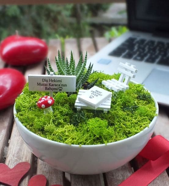 Diş Hekimleri Için Sukulent Bahçesi - Luna - 3