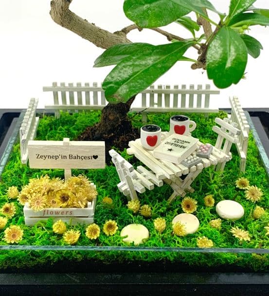 Diyetisyene Hediye Teraryum - Bonsai Koleksiyonu - 3