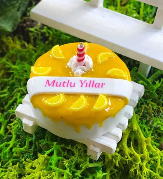 Doğum Günü İçin Bonsai - Cute Koleksiyonu - 3