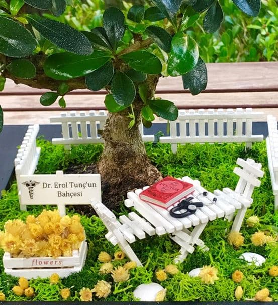 Doktora Hediye Teraryum- Bonsai Koleksiyonu - hover