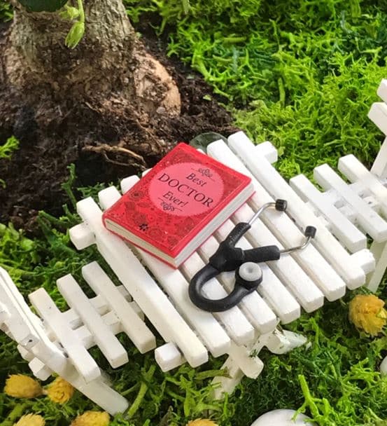 Doktora Hediye Teraryum- Bonsai Koleksiyonu - 3