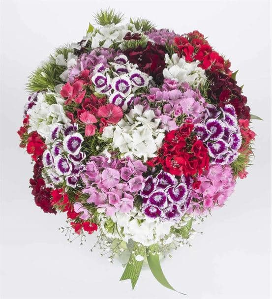 En Renkli Bahar Sürprizi Aranjmanı - hover