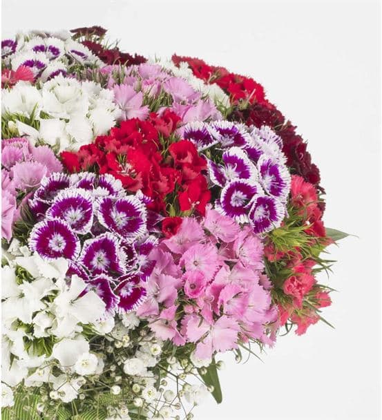 En Renkli Bahar Sürprizi Aranjmanı - 3