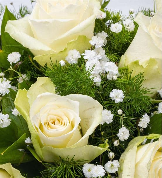 Fanusta Mutluluk 9 Beyaz Gül Aranjmanı - 3