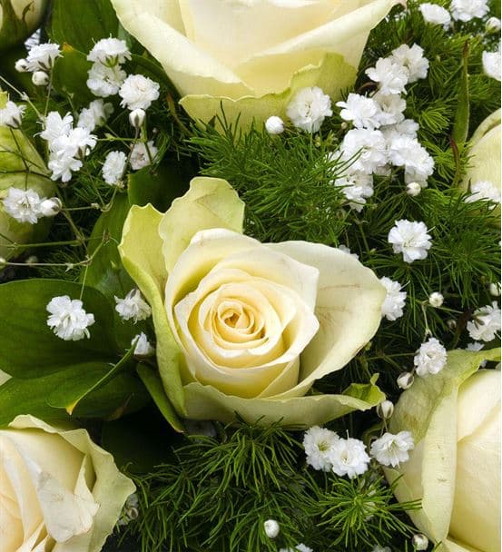 Fanusta Mutluluk 9 Beyaz Gül Aranjmanı - 4