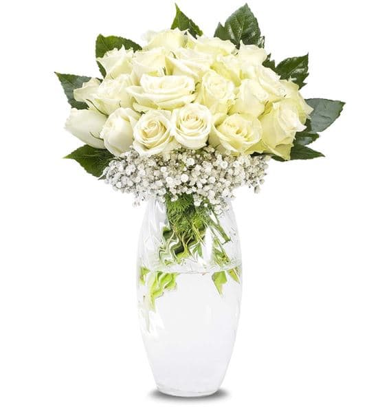 Genç ve Güzel 20 Beyaz Güller Aranjmanı