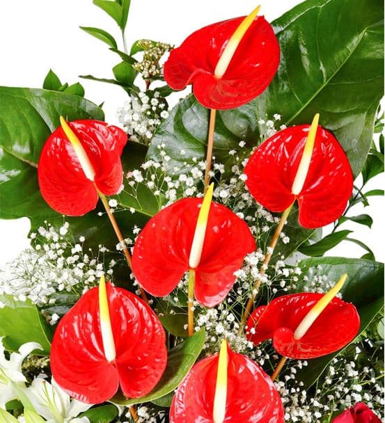 Gösterişli Kutlama Ferforje Çiçek Aranjmanı - 3