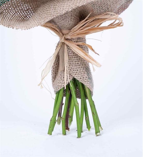 Greta Serisi Beauty Pembe Çardak Gül Buketi - 3