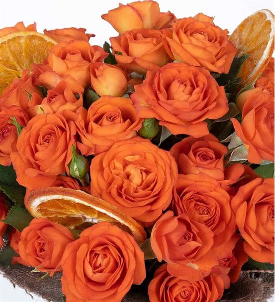 Greta Serisi Peace Turuncu Çardak Mini Gül Buketi - hover