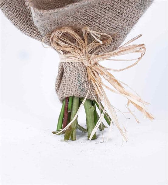 Greta Serisi Peace Turuncu Çardak Mini Gül Buketi - 3