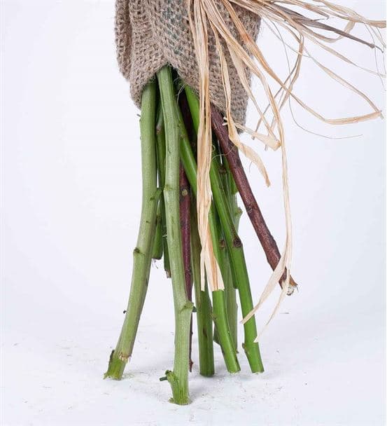 Greta Serisi Winged Tasarım Renkli Gül Buketi - 4