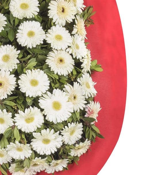 Güçlü Destek Beyaz Gerbera Tebrik Çelengi - 3